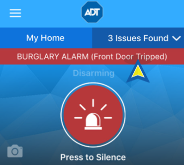 Tripped Alarm Details