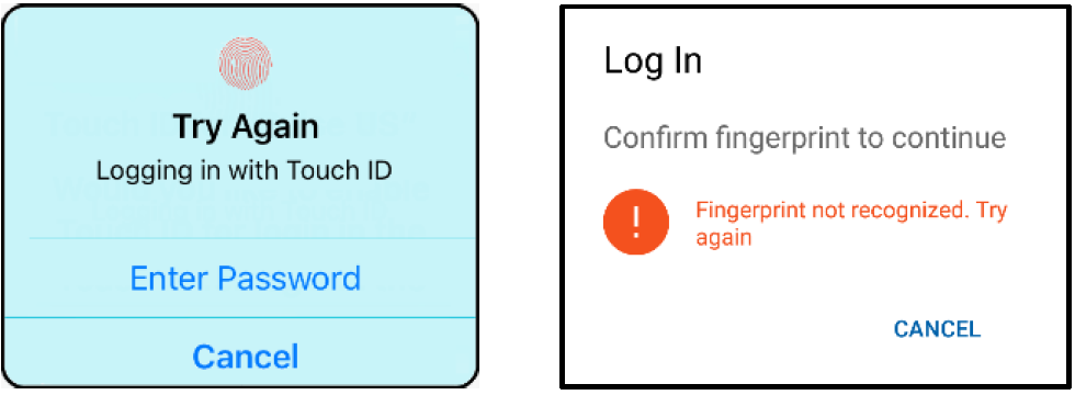 Try Logging In Again with Touch ID screens
