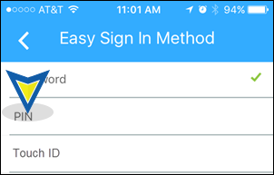 Tap PIN on the Easy Sign in Method